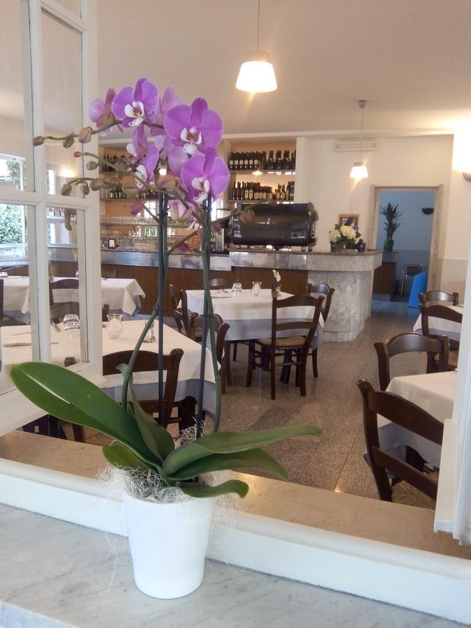 Hotel Garden 3*